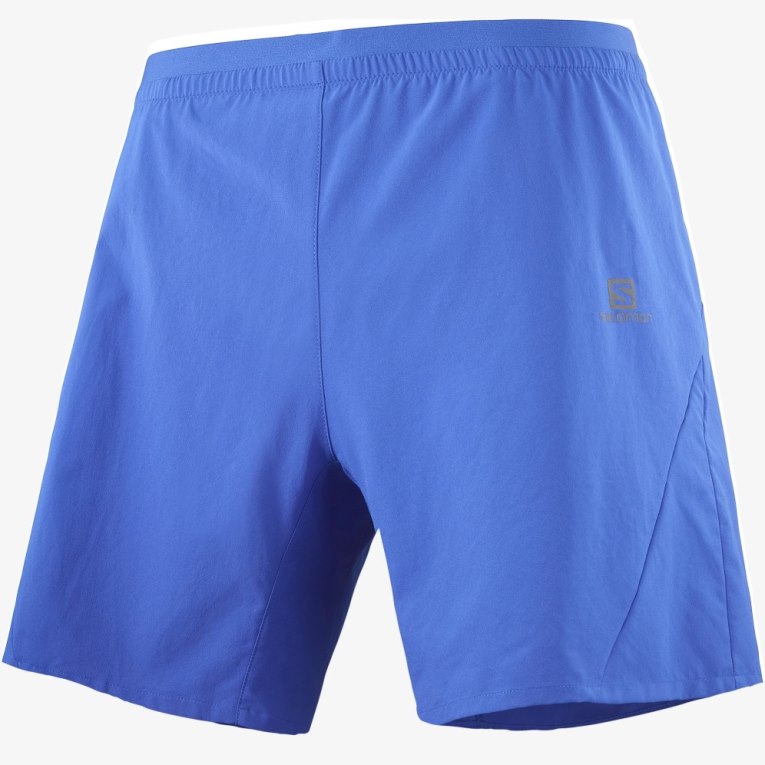 Blue Salomon Cross 7'' Men's Shorts | IE YF3502